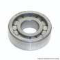 SBN RU1570UMBWB CYLINDRICAL BEARING