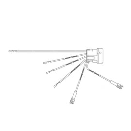 TBB 214309 HARNESS OVERLAY DOME LIGHT ACT WAKEUP C2