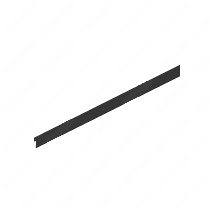 TBB 243498 REAR EMERGENCY DOOR TRIM LS