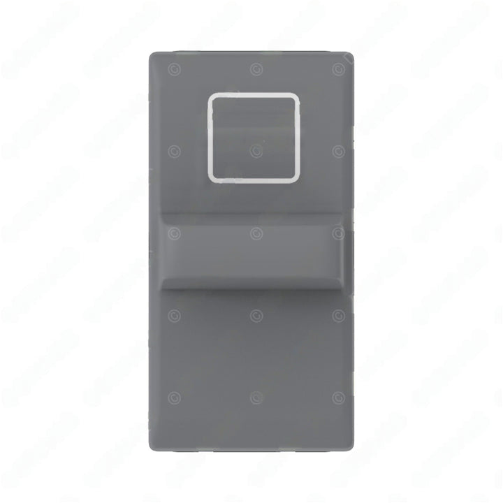 TBB 52006598 SWITCH,ROCKER-DOOR