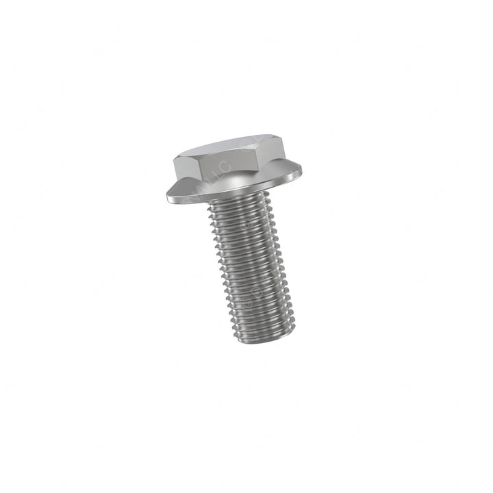 TBB 69001951 BOLT, 1/4-20 X 1 in., SRRATED FLANGE