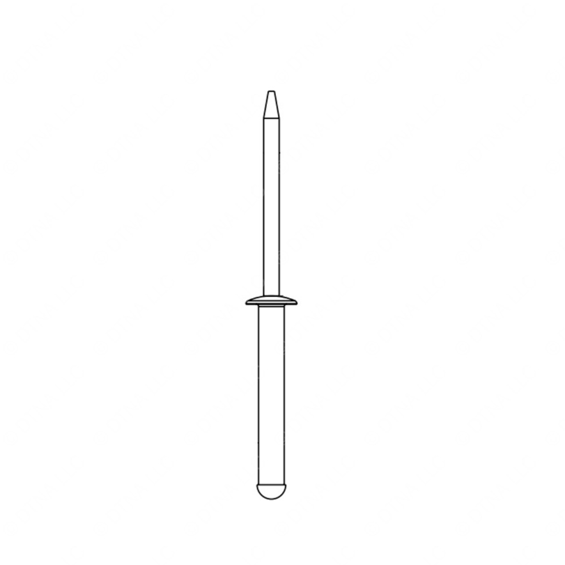TBB 69005069 RIVET 3/16 DIA PROT