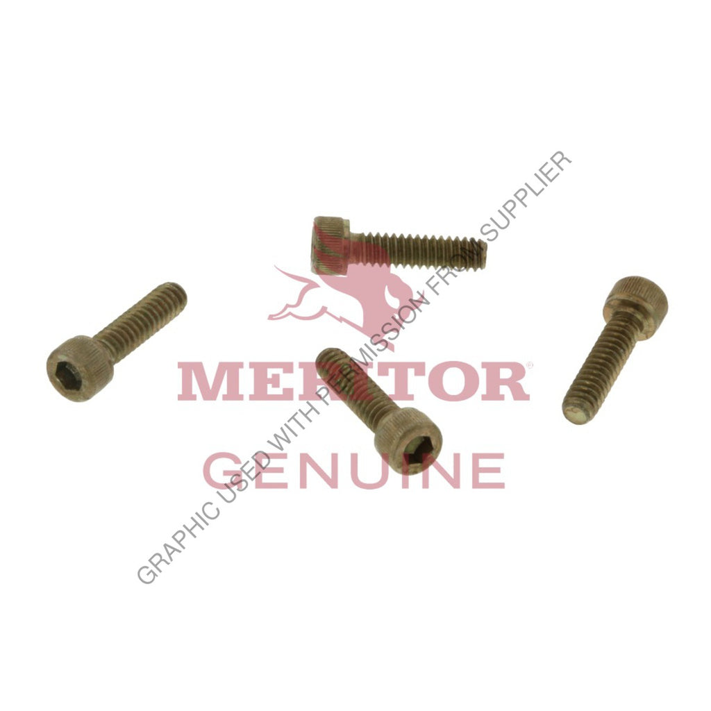 TDA 10X1623 ESS/SCREW,SOL