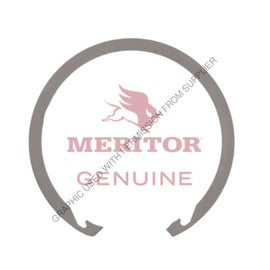 TDA 1229P2590 RING SNAP