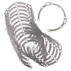 TDA 2203M9243 SHIM-.010