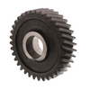 TDA 3892J5912 GEAR - DRIVEN