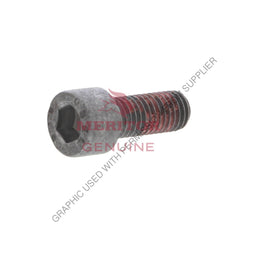 TDA 41X1668 SCREW