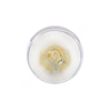 TL  10202C BULB CLEAR 12V