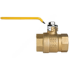TTM 2005 20 BALL VALVE  1 1/4THREAD