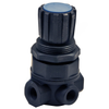 TTM 80 1066 PRESSURE REGULATOR-1/8 PORTS