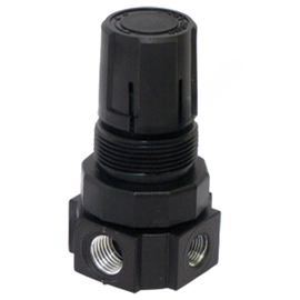 TTM 80 2008 PRESSURE REGULATOR-1/4 PORTS