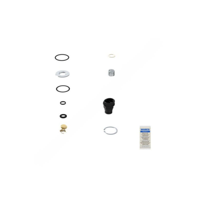 WAB 432 413 929 2 PURGE VALVE KIT