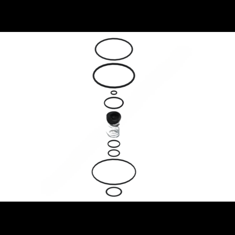 WAB 973 011 000 2 VALVE REPAIR KT