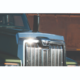 WBP WSS367 BUG DEFLECTOR, WESTERN STAR, 49X