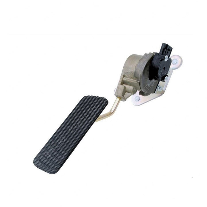 WIL 131507 ELEC PED