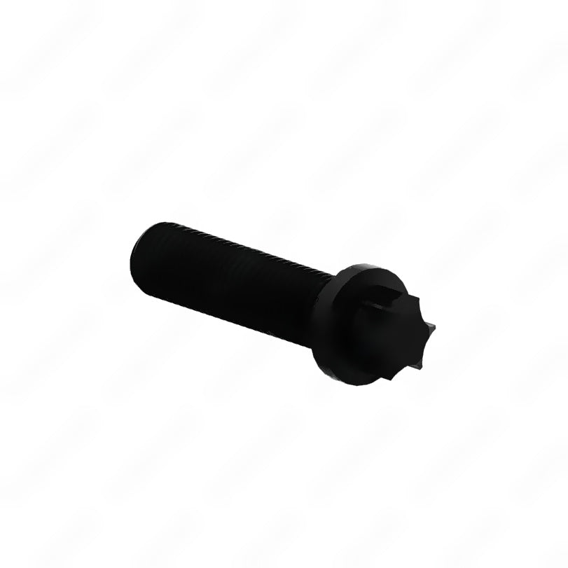 ZFT 075010897601 TORX SCREW