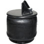 C81-1005 Air Spring Assembly