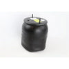 C81-1013 Spring AssyAir