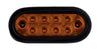 FLTPT60010A 6 AMBER OVAL P/T, 10 LED