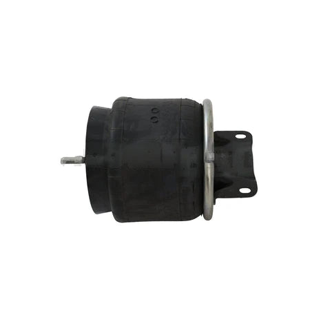 K303-28 Does Not Include Internal Stop10.5HT