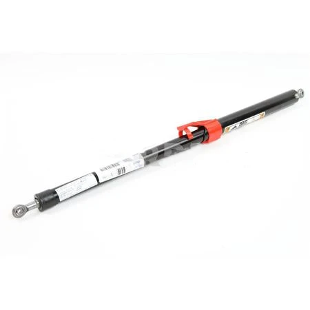 L71-1013 StrutAssistLocking Hood